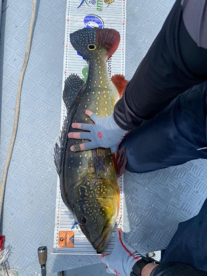 Отель Tucunare Sport Fishing Itacoatiara  Экстерьер фото
